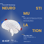 First ACIP Workshop: Neurostimulation Modeling
